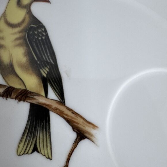 Set of 4 Vintage Songbird Collector Plates By Melody - Picture 4 of 6